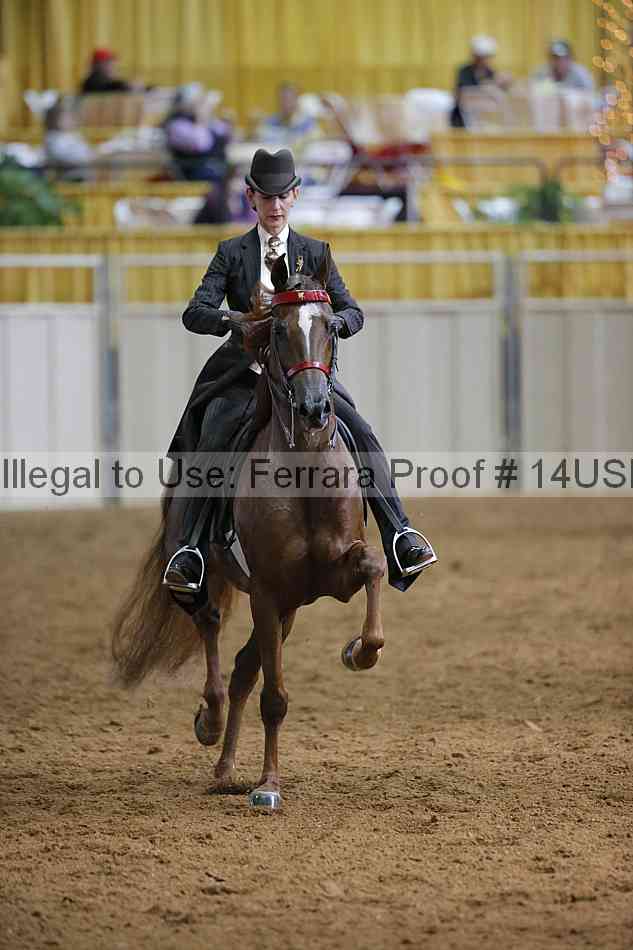 Proof 14usn_16425