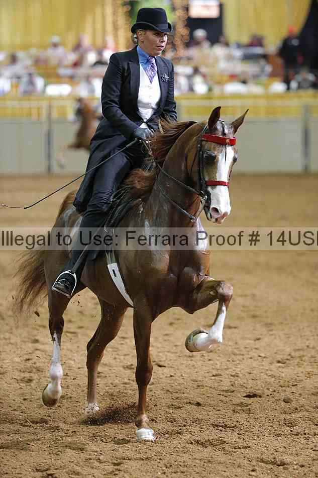 Proof 14usn_16428