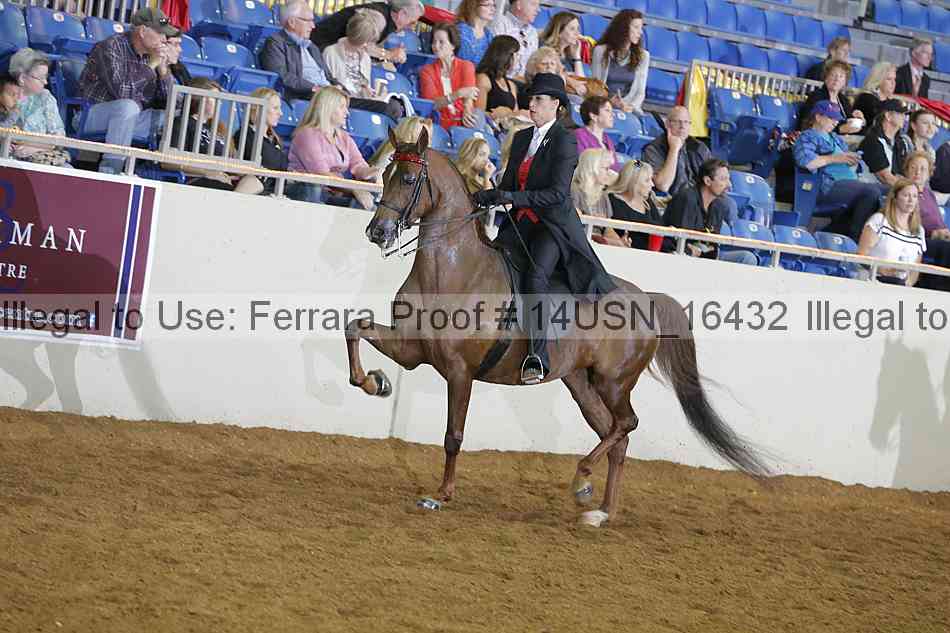 Proof 14usn_16432