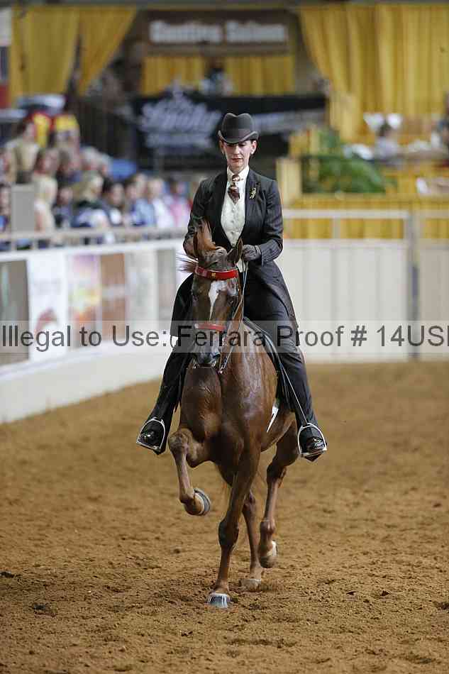 Proof 14usn_16434