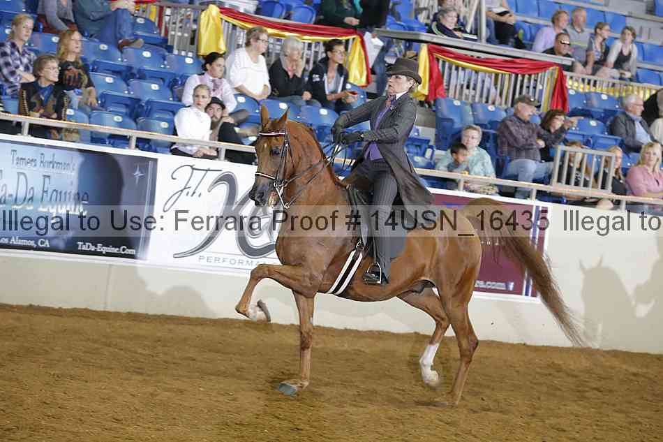 Proof 14usn_16435