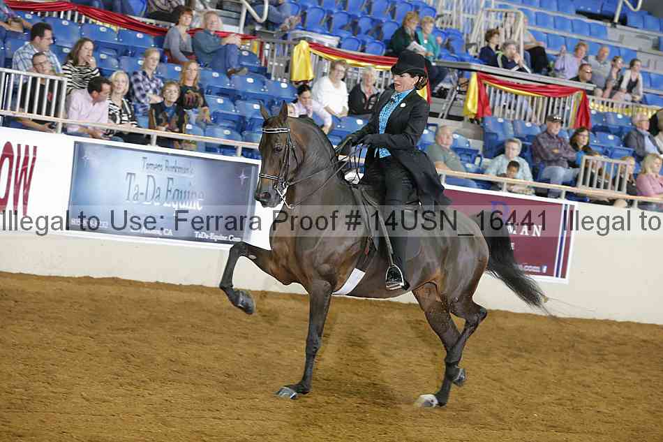 Proof 14usn_16441