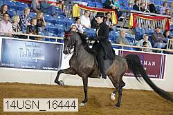 14usn_16444 proof