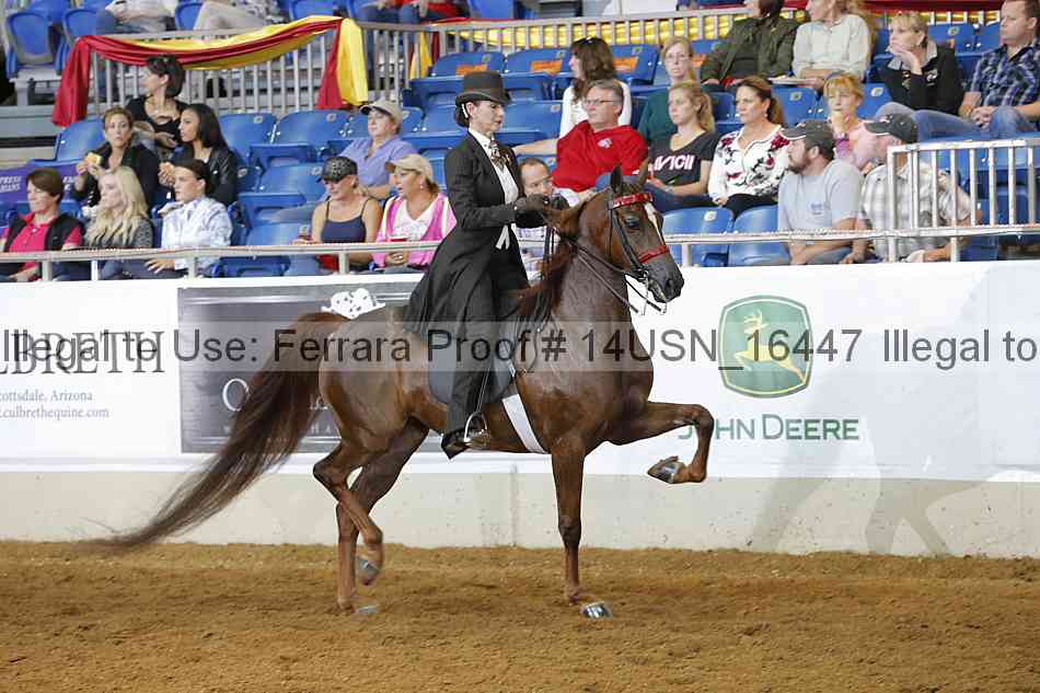 Proof 14usn_16447