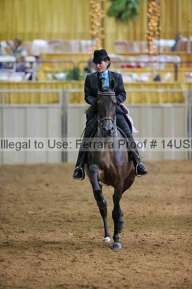 Proof 14usn_16459