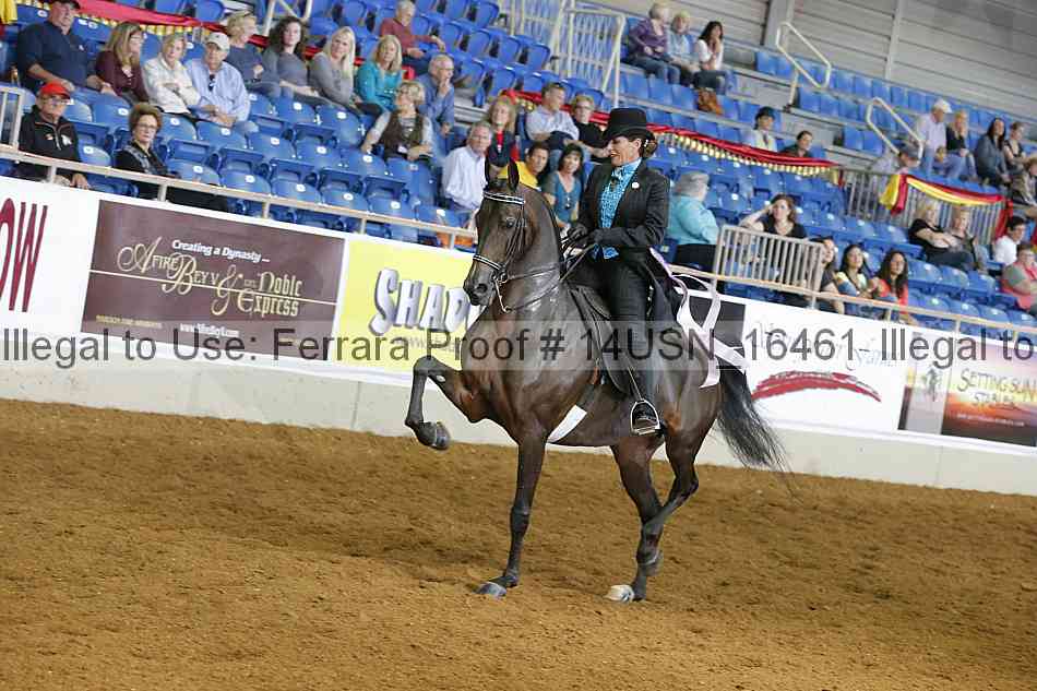 Proof 14usn_16461