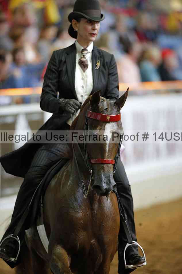 Proof 14usn_16469