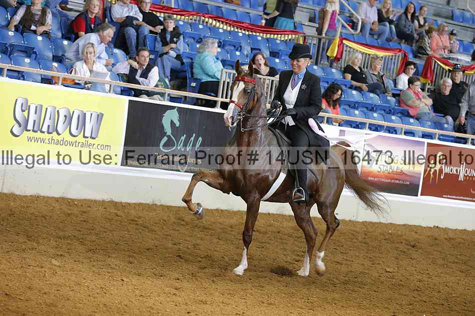 Proof 14usn_16473