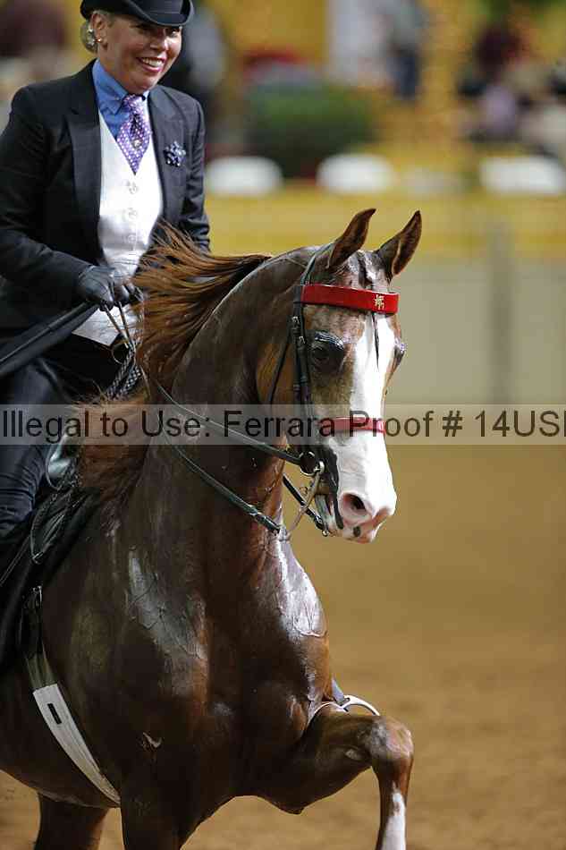 Proof 14usn_16474
