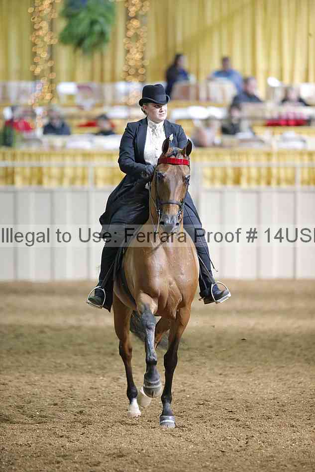 Proof 14usn_26972