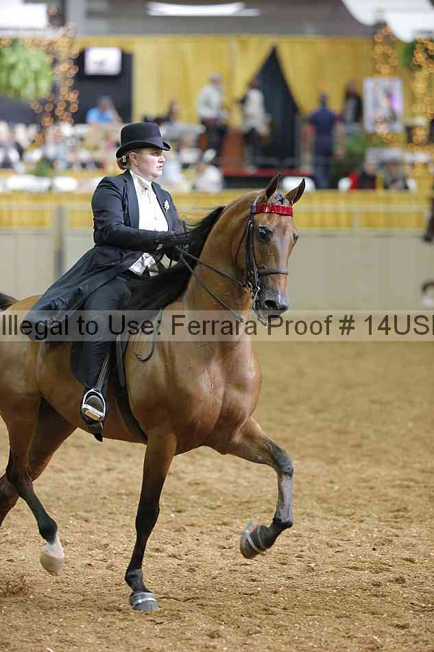 Proof 14usn_26975