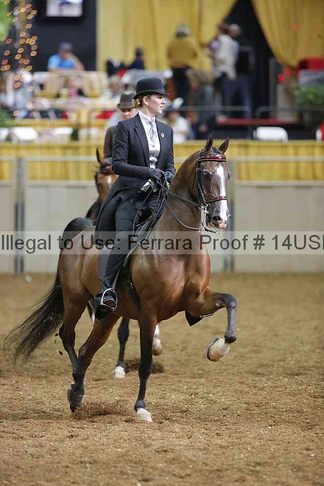 Proof 14usn_26991