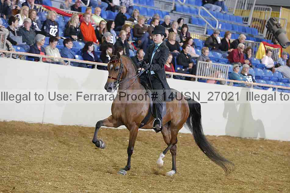 Proof 14usn_27021