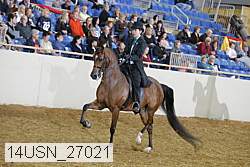 14usn_27021 proof