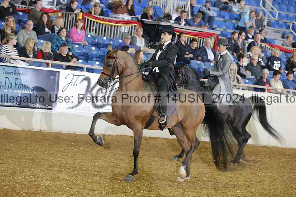 Proof 14usn_27024
