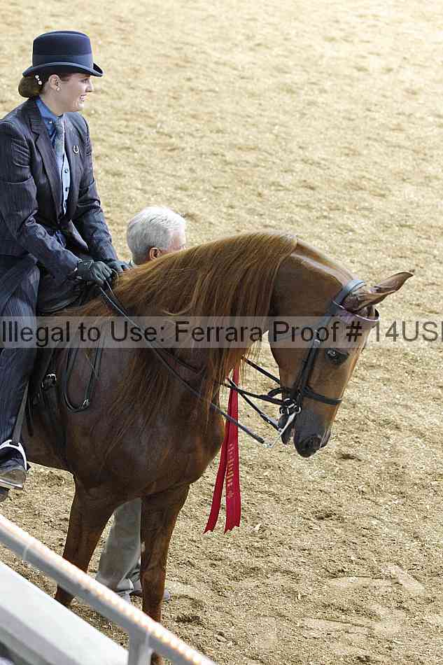 Proof 14usn_27029