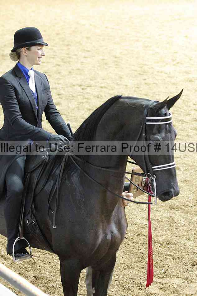 Proof 14usn_27041