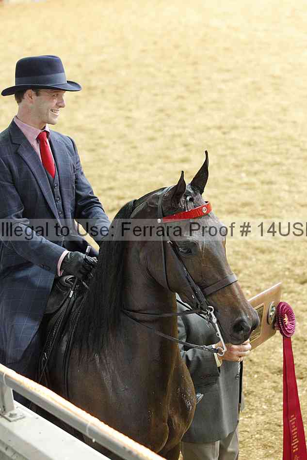 Proof 14usn_27049
