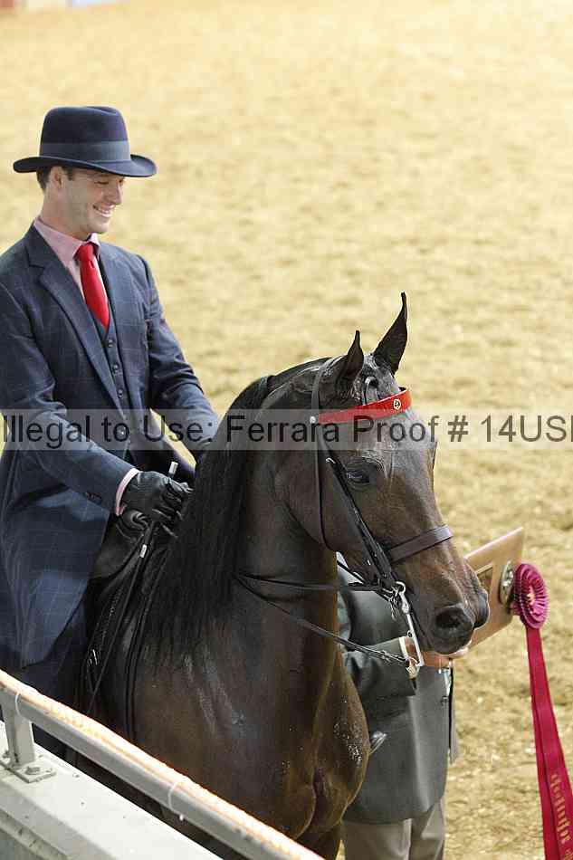 Proof 14usn_27050