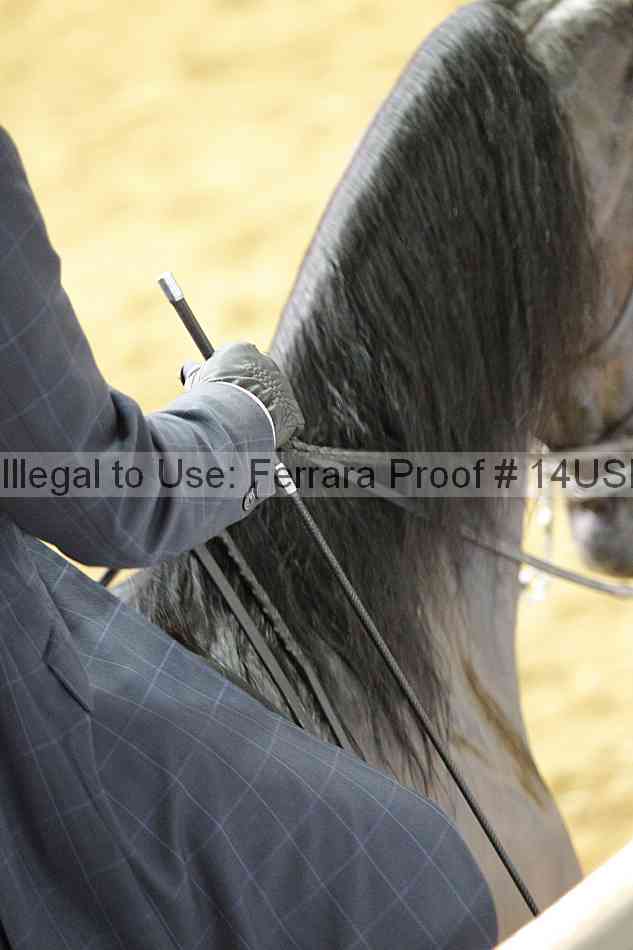 Proof 14usn_27054