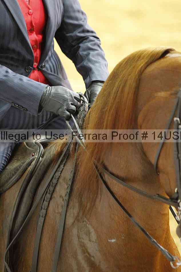 Proof 14usn_27057