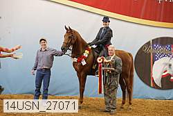 14usn_27071 proof
