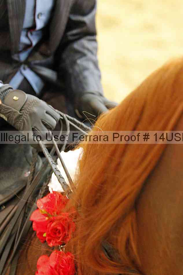 Proof 14usn_27088