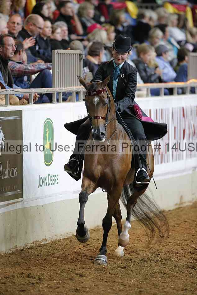 Proof 14usn_27109