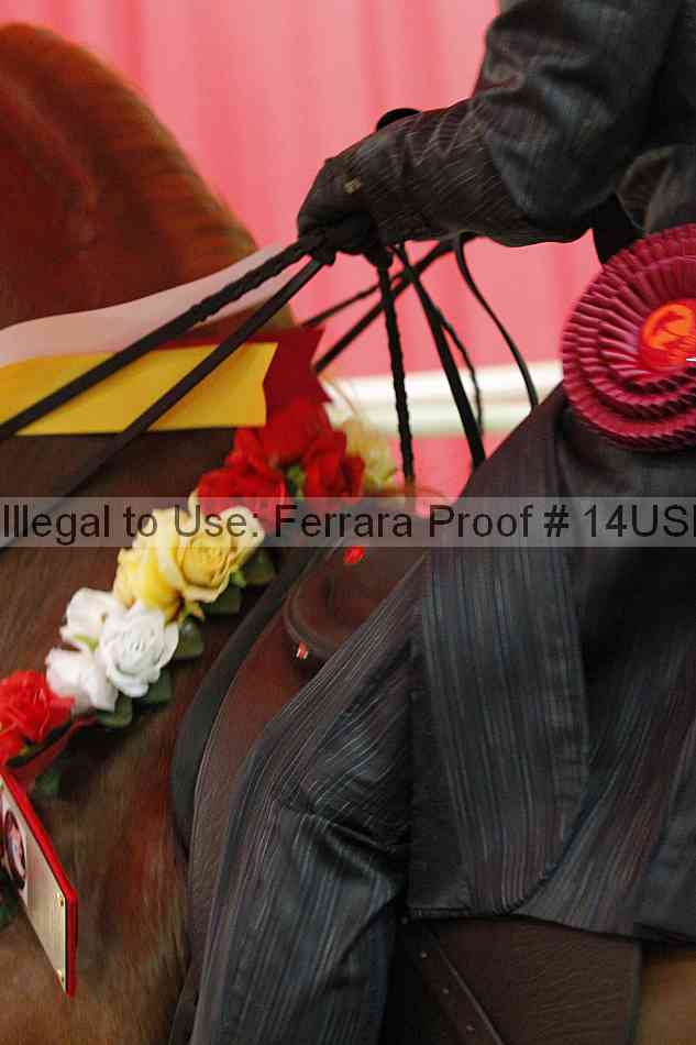 Proof 14usn_27169