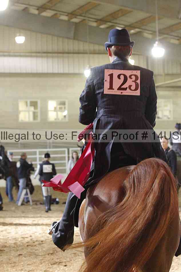 Proof 14usn_27171