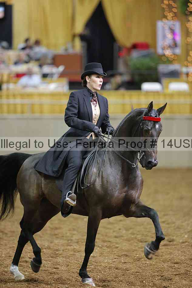 Proof 14usn_27217