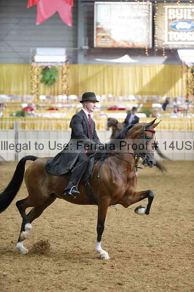 Proof 14usn_27229