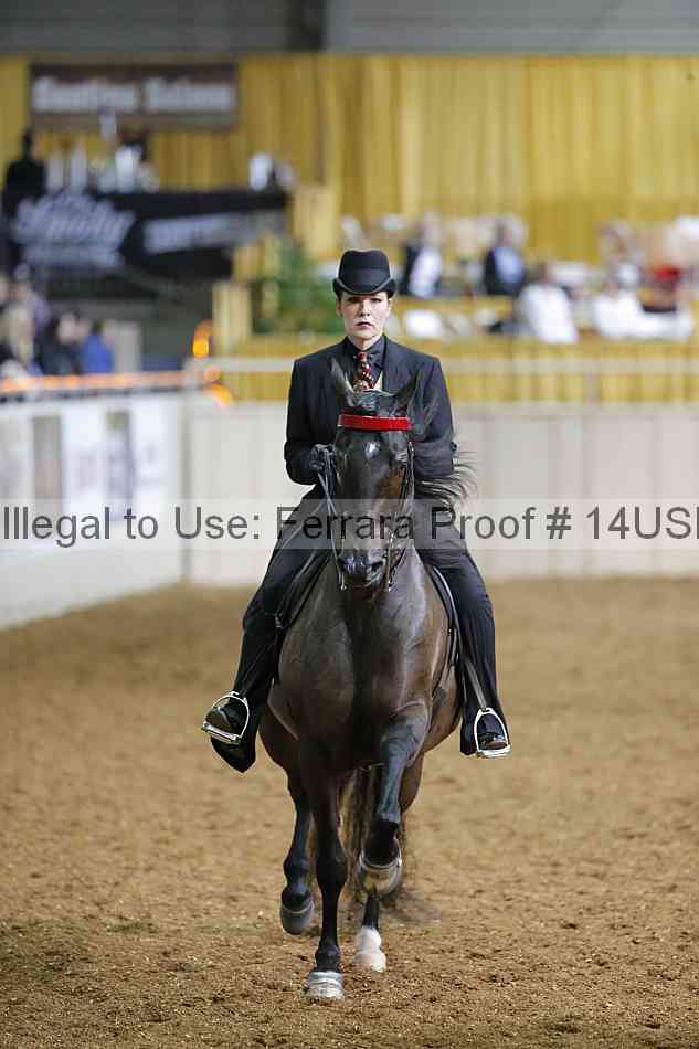 Proof 14usn_27252
