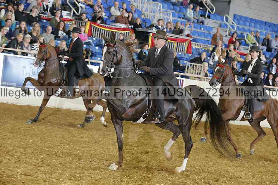 Proof 14usn_27294