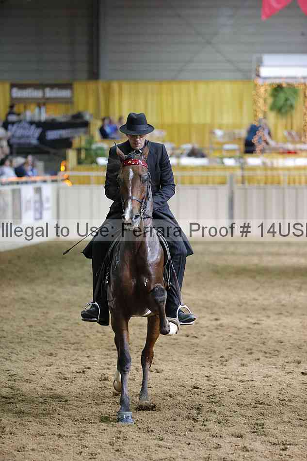 Proof 14usn_37768