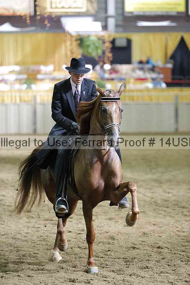 Proof 14usn_37770
