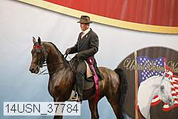 14usn_37784 proof
