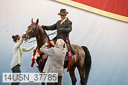 14usn_37785 proof