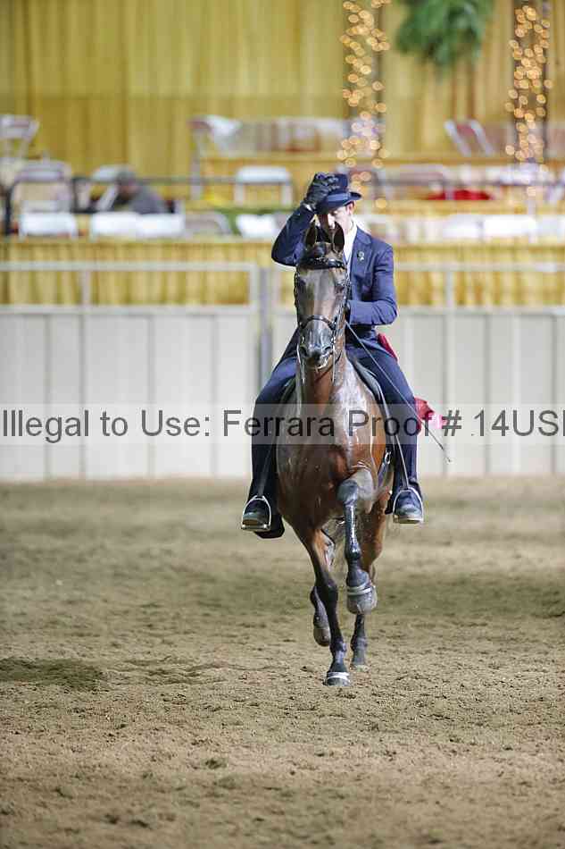 Proof 14usn_37795