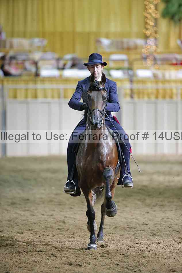 Proof 14usn_37796