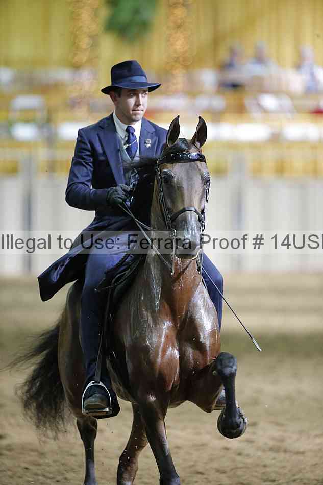Proof 14usn_37797