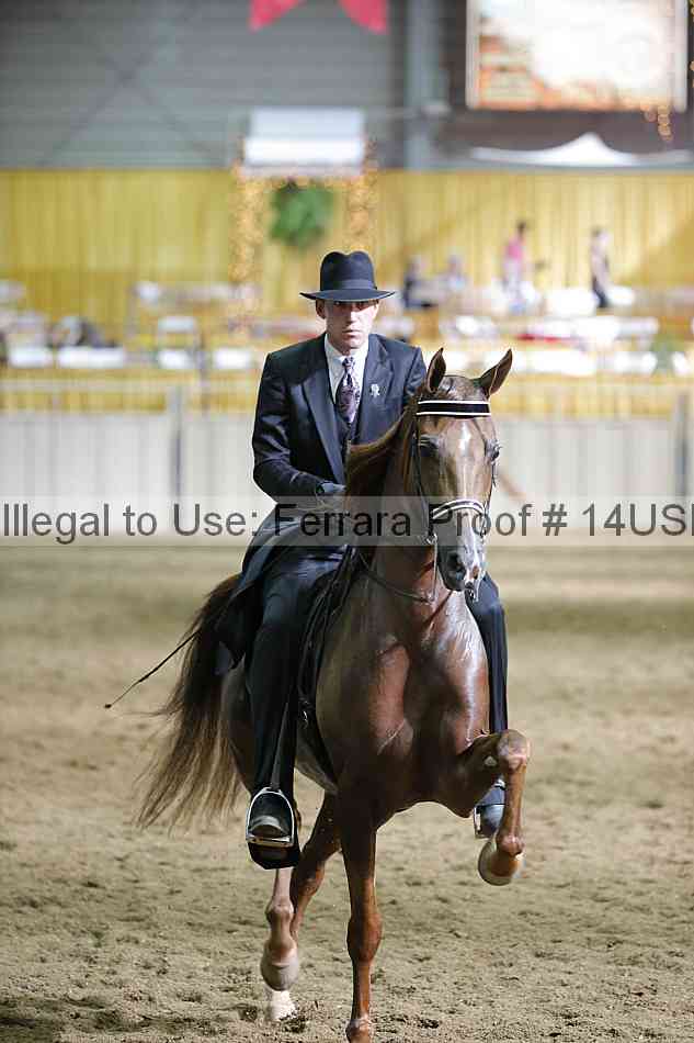 Proof 14usn_37817