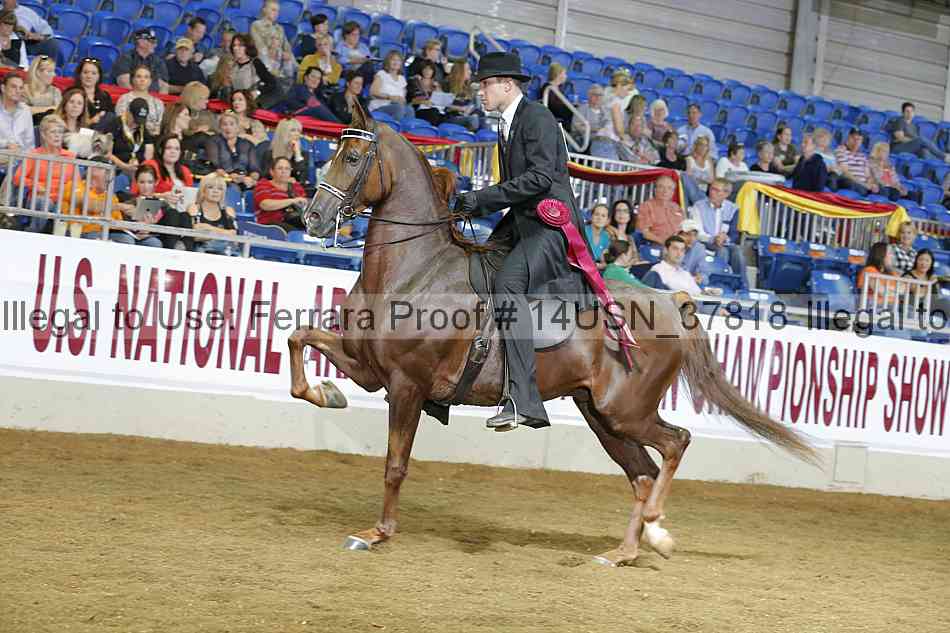 Proof 14usn_37818