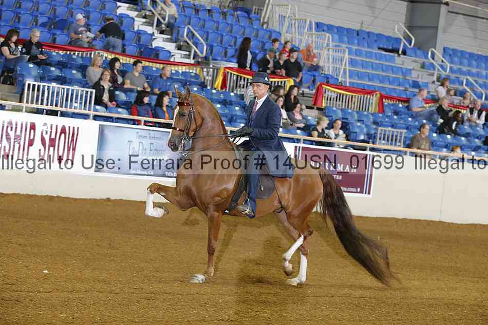 Proof 14usn_01699