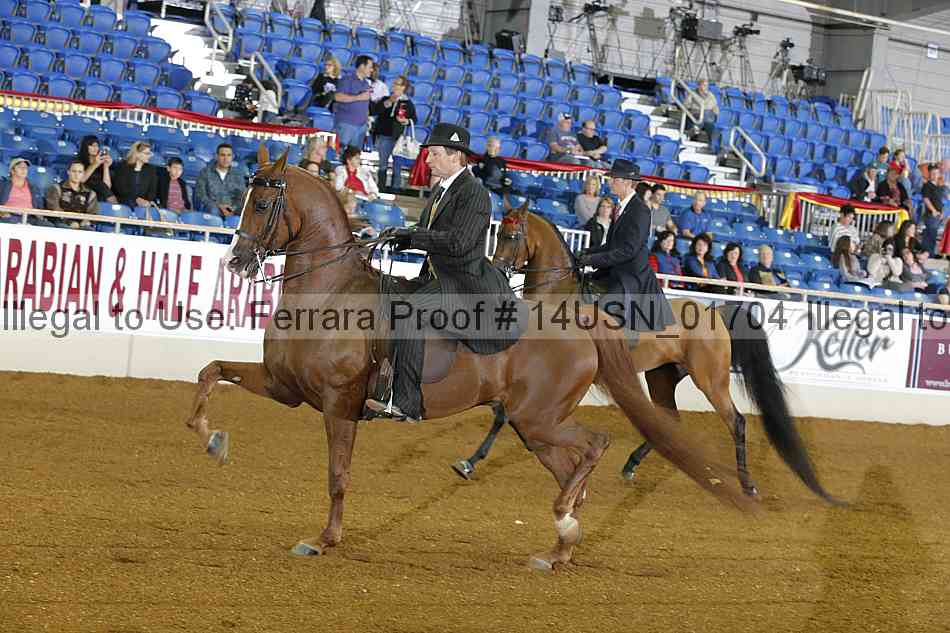 Proof 14usn_01704