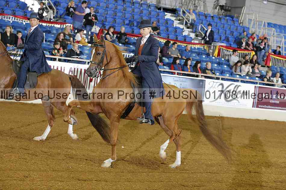 Proof 14usn_01708