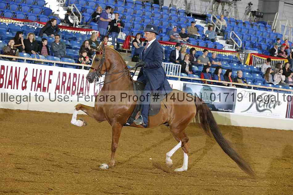 Proof 14usn_01719