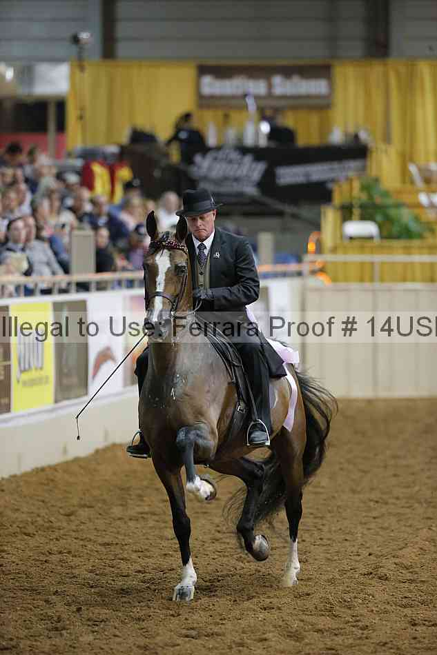 Proof 14usn_01733