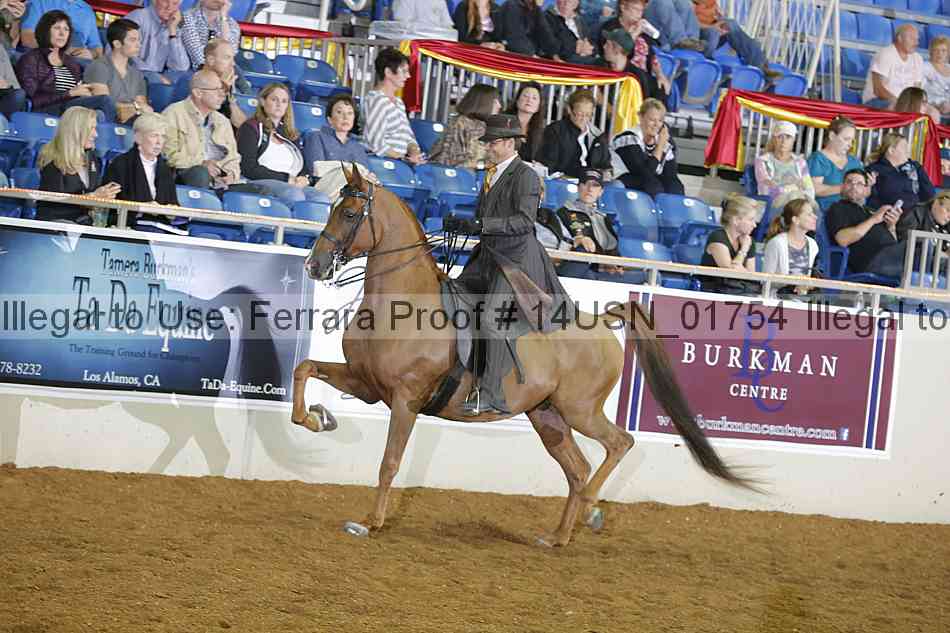Proof 14usn_01754