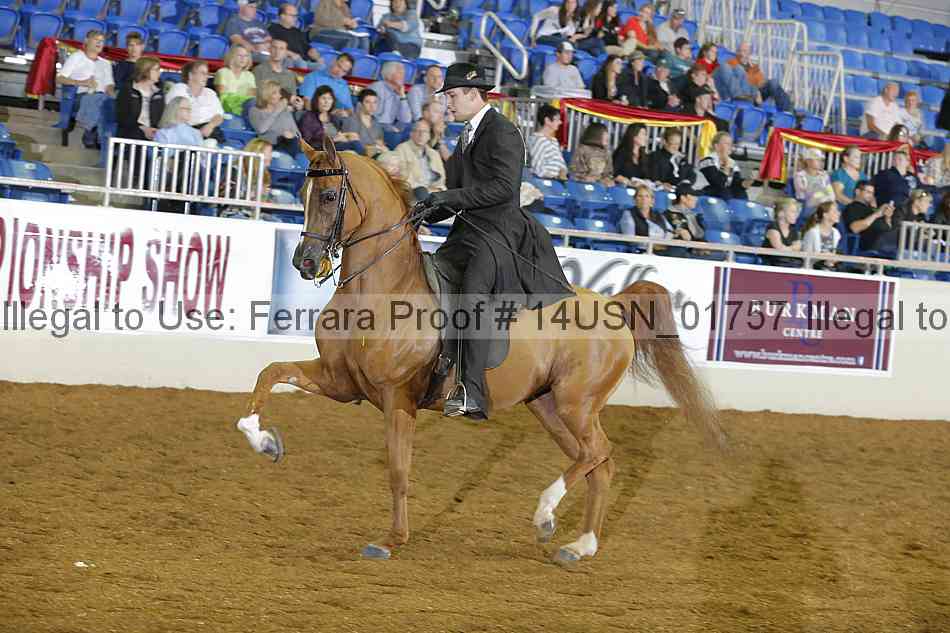 Proof 14usn_01757